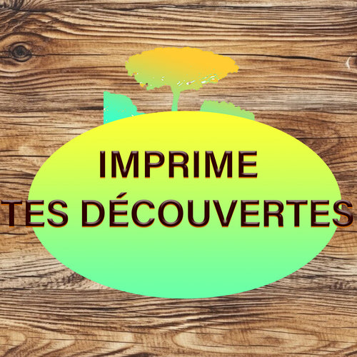  Logo Imprime tes découvertes